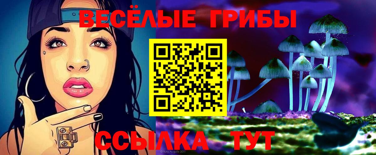 Псилоцибиновые грибы мухоморы  Вход с VPN  Димитровград 